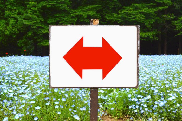 地積規模の大きな宅地の評価との併用についての解説